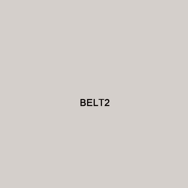 belt2